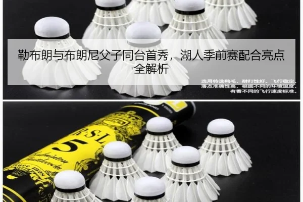 lei-bu-lang-yu-bu-lang-ni-fu-zi-tong-tai-shou-xiu-hu-ren-ji-qian-sai-pei-he-liang-dian-quan-jie-xi-3-423.jpg